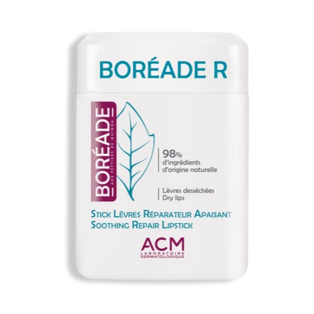 ACM BOREADE STICK REPARADOR X 9.2 GR HBDERM